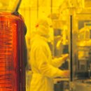 '2년 완공' TSMC 구마모토…日 정부가 공장보다 먼저 준비 이미지