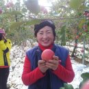 에덴농장 이미지