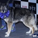 하울링 이미지