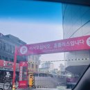까미경포펜션 | 강릉 1박2일 여행코스 2편(펜션/맛집/카페/정동진 레일바이크)