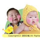 혼도(주) 이미지