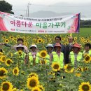 대한노인회 완도군지회 이미지