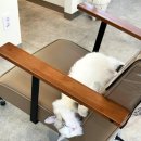 참 미용실 이미지