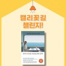 도담챌린지 이미지