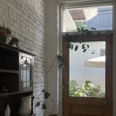 봉선1동 주민센터 | [광주 봉선동] 햇살가득☀️ 분위기 좋은 브런치카페 "코튼스토리위드커피"