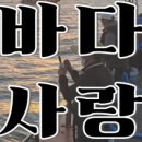 안면도바다사랑낚시