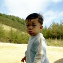 똘똘이 목장 이미지