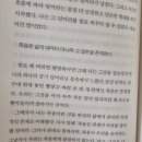 노르웨이의 숲 이미지