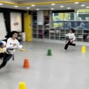 올바른태권도 네이버블로그