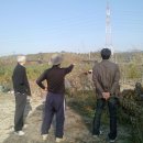 광수농장 이미지