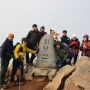 장수담배