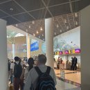 케이프타운 | 남아공 에어링크 항공 빅토리아폭포에서 케이프타운 이용 후기