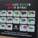 마산 합성동 고기집 맛집 "대패생각" 후기
