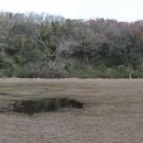 수망리교차로 1 이미지