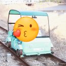 춘천 여행 김유정 레일바이크 후기