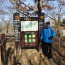 호수공원11로 이미지