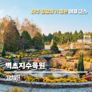 부흥로 버즘나무테마거리 | 경기도 파주 당일 여행 코스 벽초지수목원 이용 정보