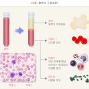 더건강내과