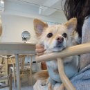 그릿죽전점 이미지