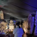 자연예술랜드 | 포천 가볼만한곳 | 예술정원1999 자연예술테마파크 후기 | 커피랑 소금빵이 맛있는 전시관