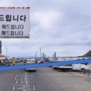 회뜨는선장님