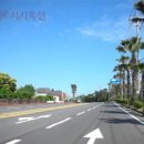 상예동-15 Daum카페
