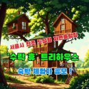 휴양림 이미지