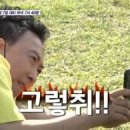 피크닉앤와인월정