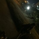 윤's플라워 이미지
