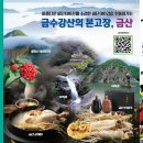 금산인삼 - 중구 대신동 | 금산인삼