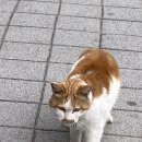 동해수산초장집 이미지