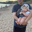 금호목장 | 4박5일 제주여행…☘︎ (제주금호리조트, 스테이그라피...너야말로진정회, 성이시돌목장, 홀츠 애월, 레이...