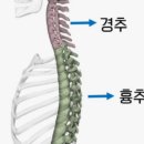 목나루