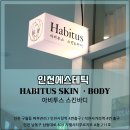 아비투스스킨바디