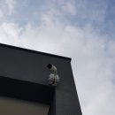 양평 CCTV 이미지