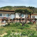 꿈꾸는민박 이미지