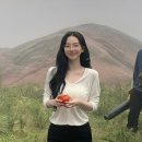 파이브랜드