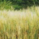 소영농장 이미지