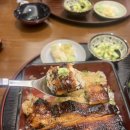서울장어덮밥 발산역 맛집 우나기모토 장어덮밥 세미코스 후기