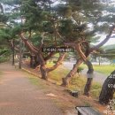 영천골재중기 이미지