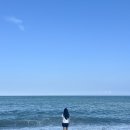 (주)솔밭 이미지