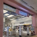 몰리스펫샵(스타필드 하남) 이미지