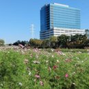 녹색중앙의원 이미지