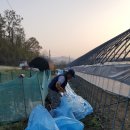 덕봉농장 이미지