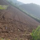 연천공인중개사사무소 이미지