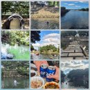 월대천 | 제주 월대천 물놀이 주차 먹거리