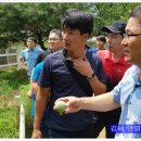 안명초등학교 티스토리