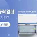비알코리아(주) 이미지