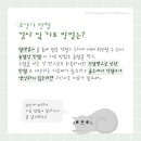 더클래스동물메디컬센터 이미지