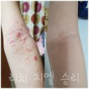 지엘(Xiel) 이미지